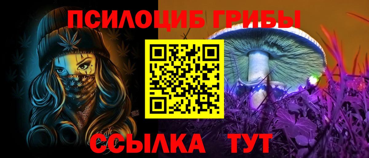 Галлюциногенные грибы Cubensis Новосибирск