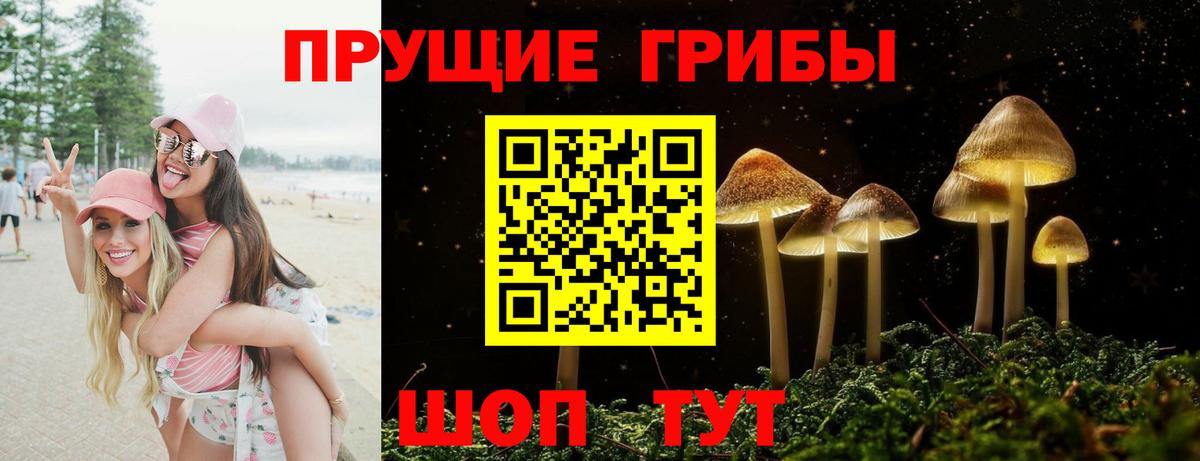 Новосибирск  Галлюциногенные грибы Magic Shrooms  Вход с VPN 